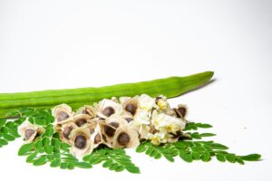 Ashwagandha Benefits for Men: फायदे, उपयोग और सावधानियां